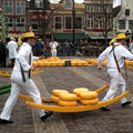 Alkmaar cheese market